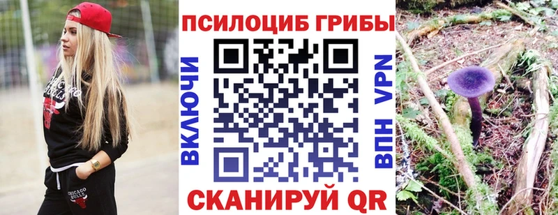 Псилоцибиновые грибы GOLDEN TEACHER  Купить где  Гусиноозёрск 